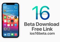 iOS 16 Beta Download Free Link