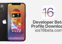 iOS 16 Developer Beta Profile Download