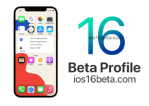 iOS 16 Beta Profile